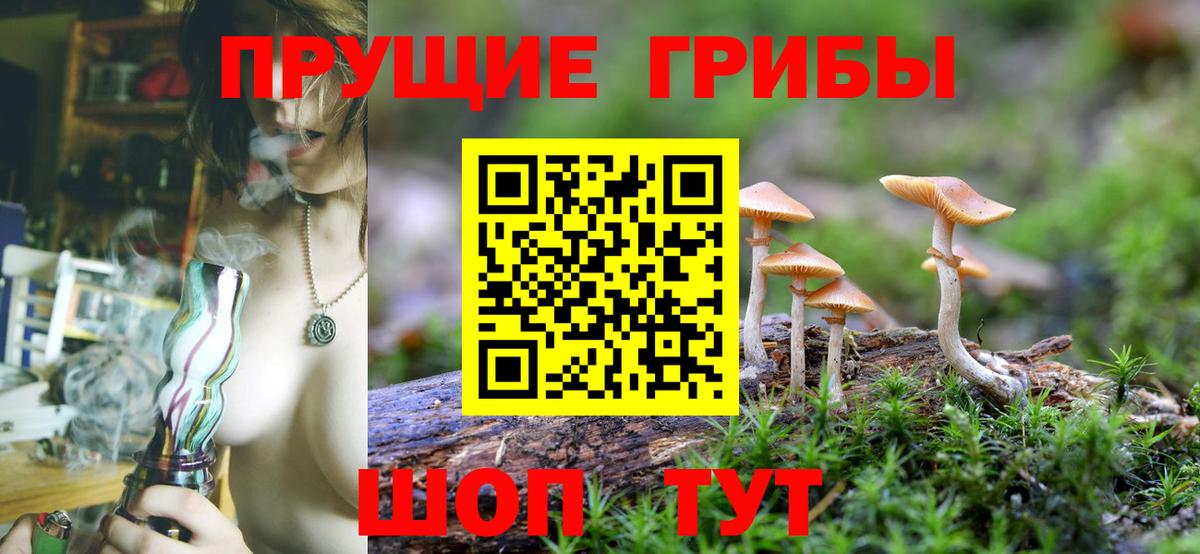 Омск  Галлюциногенные грибы ЛСД  Галлюциногенные грибы Psilocybe  Вход с VPN 