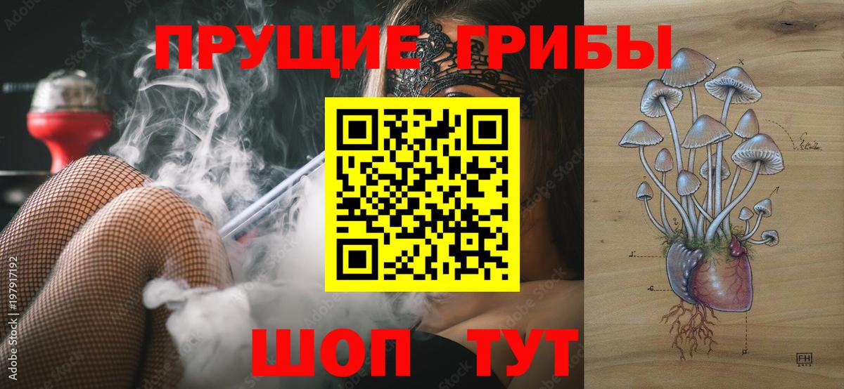 Галлюциногенные грибы GOLDEN TEACHER Омск